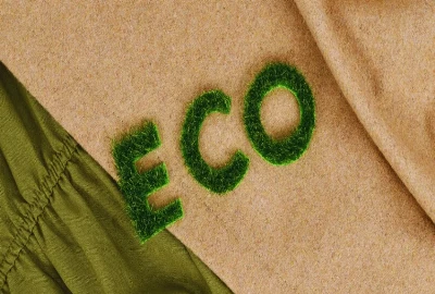 Eco-Friendly B&Bs for Sustainable Travel Lovers
