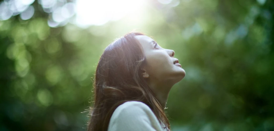  Escape the City: How B&Bs Surrounded by Nature Improve Wellbeing