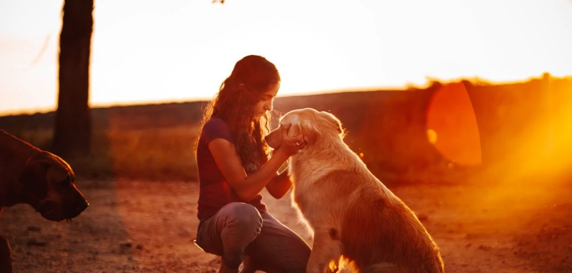 From Cozy Rooms to Outdoor Adventures: Why Pet-Friendly B&Bs Are a Great Choice