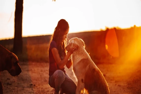 From Cozy Rooms to Outdoor Adventures: Why Pet-Friendly B&Bs Are a Great Choice