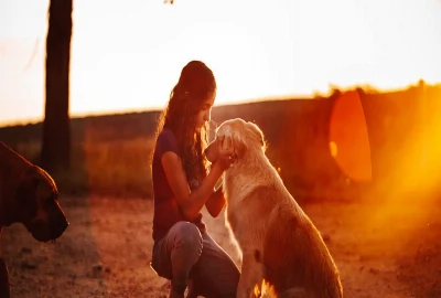 From Cozy Rooms to Outdoor Adventures: Why Pet-Friendly B&Bs Are a Great Choice
