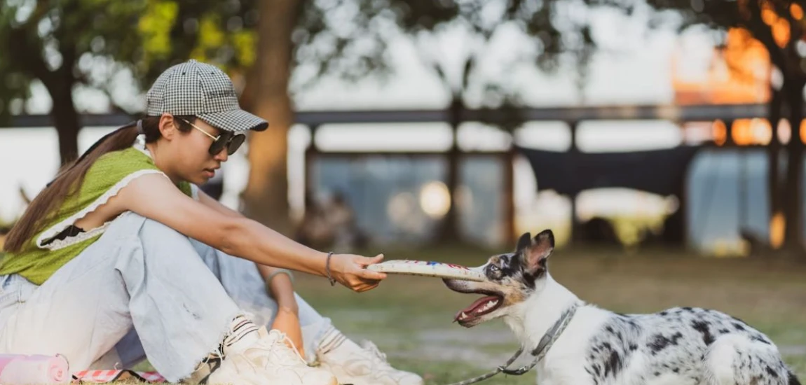 Plan the Outdoor Activities with Your Pet While Staying in B&Bs