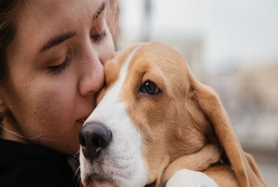 Travelling with Pets? These Global B&Bs Welcome Four-Legged Guests