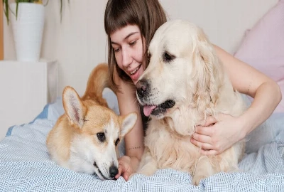 Where Pets Are Family: Best B&Bs That Welcome Your Furry Friends