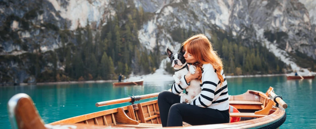 Where Pets Are Family: Best B&Bs That Welcome Your Furry Friends