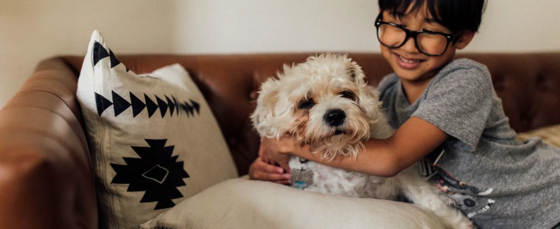 Where Pets Are Family: Best B&Bs That Welcome Your Furry Friends