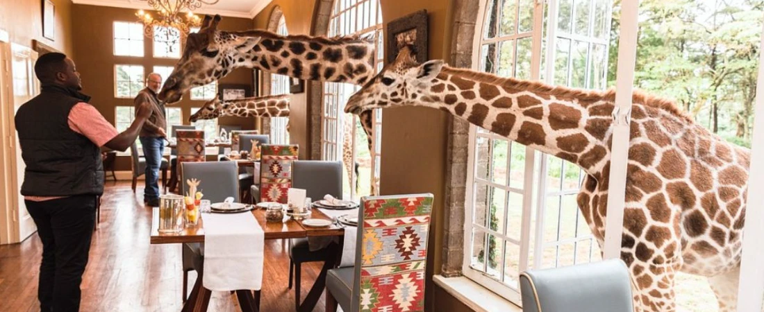 Insta-Dreams: Where to Find the Most Photogenic B&Bs Worldwide