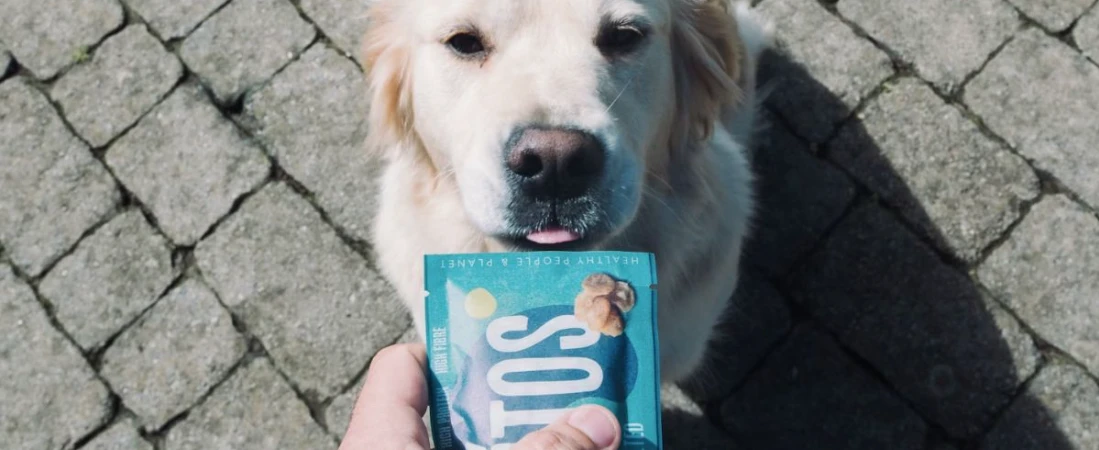 A Guide to Staying in B&Bs with Pets: Tips, Tricks, and Top Picks