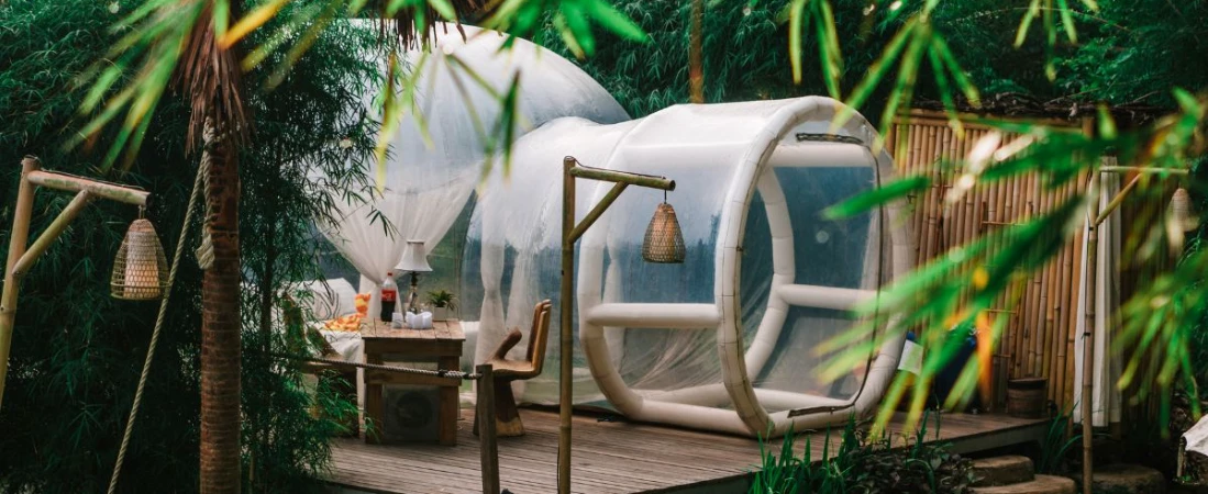  Escape the City: How B&Bs Surrounded by Nature Improve Wellbeing