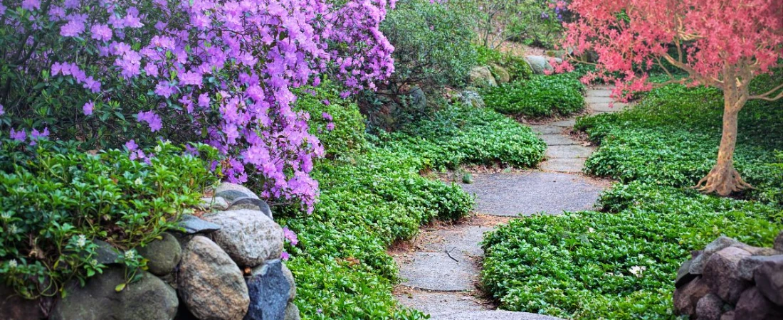 Capture the Perfect Shot: Why B&Bs Are Instagram Gold