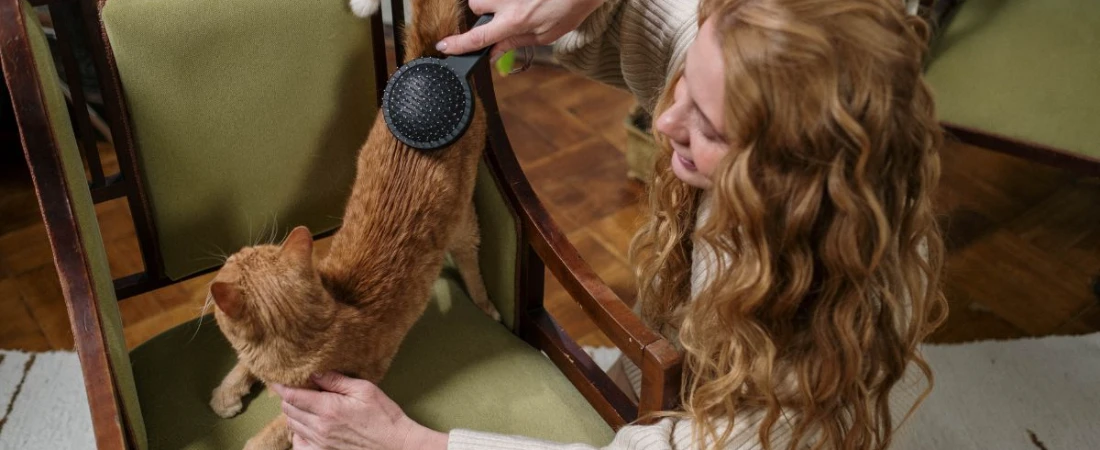 From Cozy Rooms to Outdoor Adventures: Why Pet-Friendly B&Bs Are a Great Choice