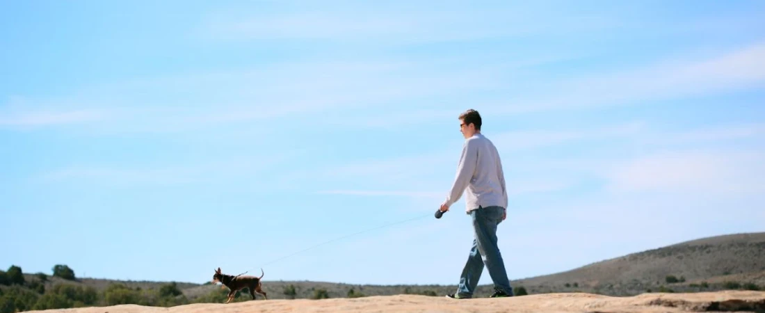 Plan the Outdoor Activities with Your Pet While Staying in B&Bs