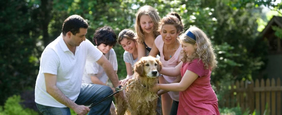 Plan the Outdoor Activities with Your Pet While Staying in B&Bs