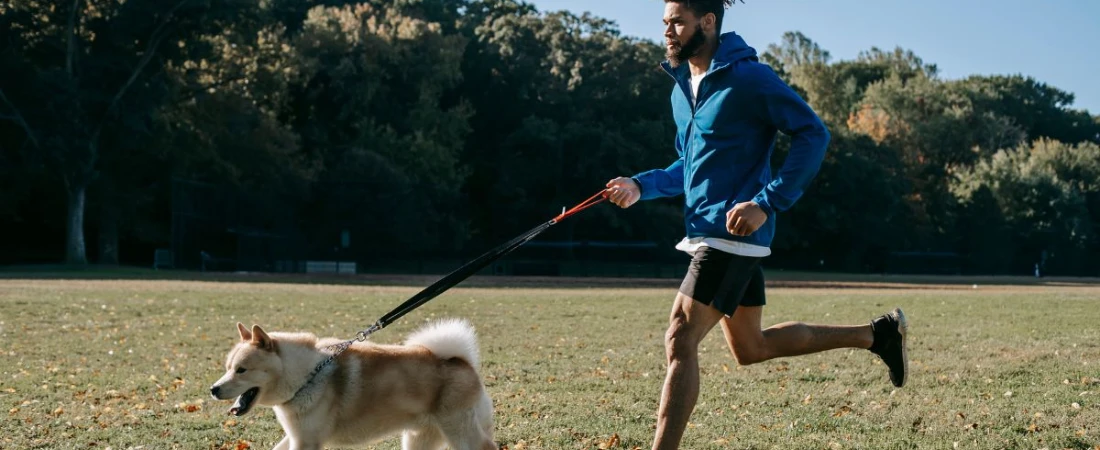 Travelling with Pets? These Global B&Bs Welcome Four-Legged Guests