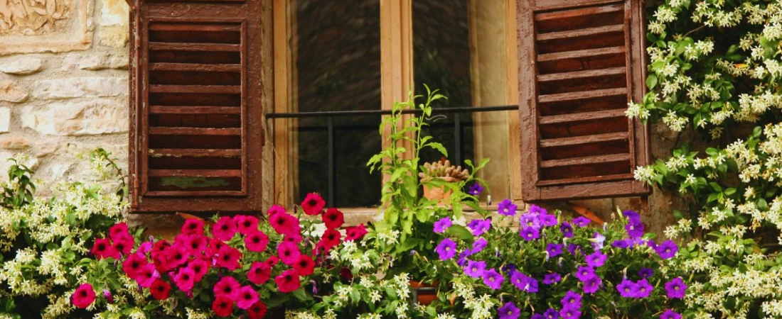 B&Bs for History Buffs: Stay in Heritage Homes with Stories