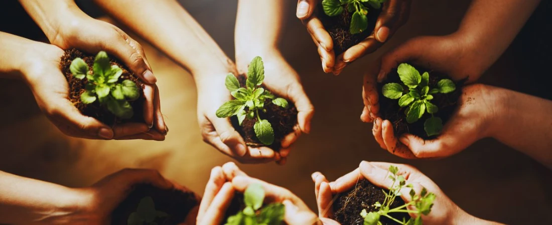 Eco-Friendly B&Bs for Sustainable Travel Lovers