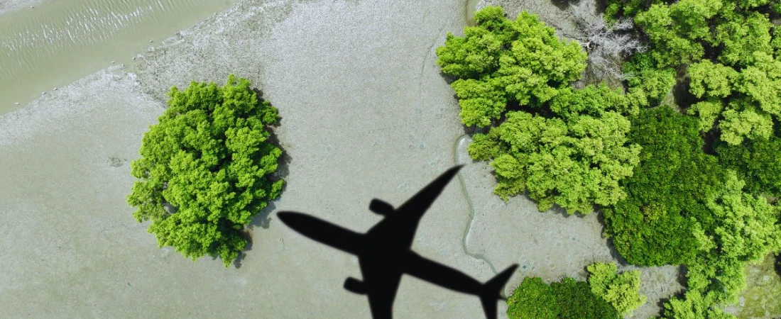Eco-Friendly B&Bs for Sustainable Travel Lovers