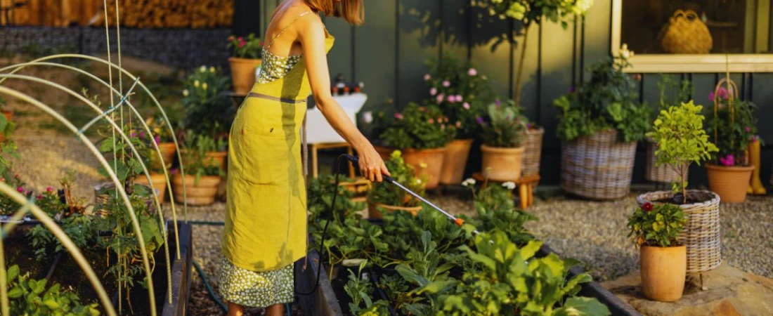 Eco-Friendly B&Bs for Sustainable Travel Lovers